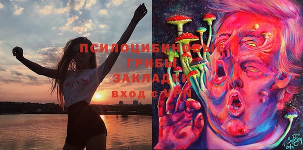 не бодяженный Алзамай