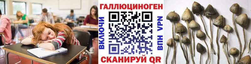 Псилоцибиновые грибы мицелий  как найти закладки  Кимры 